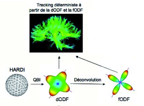 mdescoteauxdecontrack